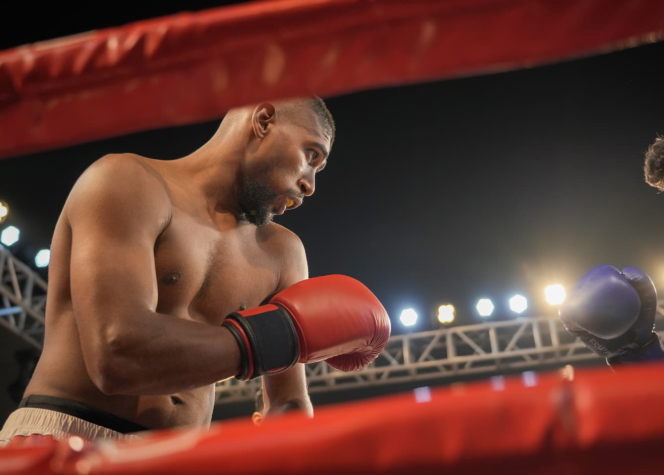 A featured Image for this section